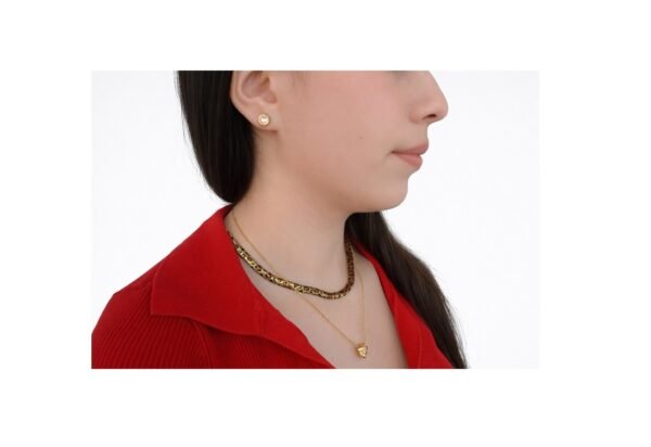 Aretes románticos elegantes