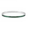 Brazalete elegante