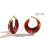 Aretes elegantes grandes